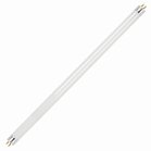 TUBO FLUORESCE T8 LF