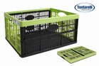 CAJA PLEGABLE MULTIUSOS VERD/NEG